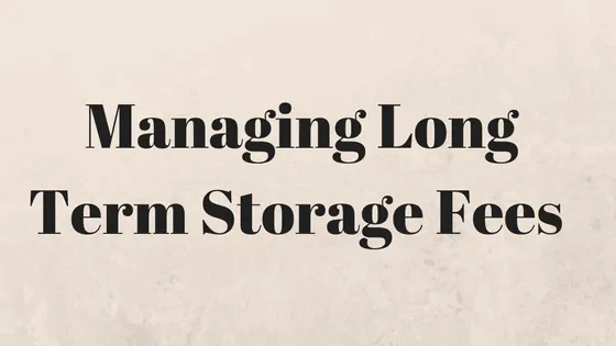 amazon FBA fees for storage